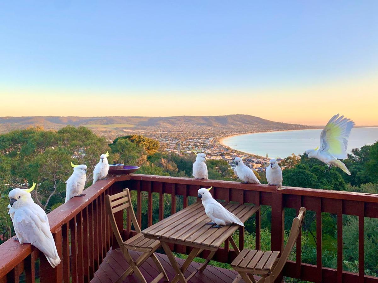 Willa Kinoie Mornington - Oceanview Mount Martha Zewnętrze zdjęcie